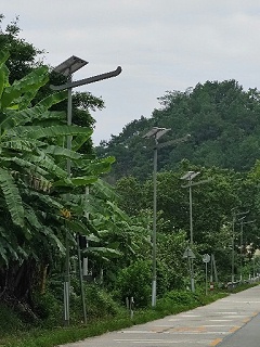 2026年6米太阳能路灯工厂推荐：中山4家实力品牌对比与选购指南