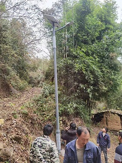 5米南德灯点亮黔乡山路，贵州乡村县道亮化工程落地