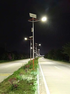 2026年单臂路灯杆与双臂路灯杆推荐：中山路灯杆定制厂家指南