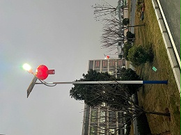 2026年太阳能路灯厂家推荐：市政与乡村照明实力之选，品质与性价比全面解析