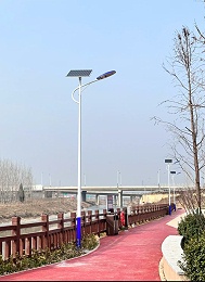 湖光映灯影，南德路灯点亮湖边夜色