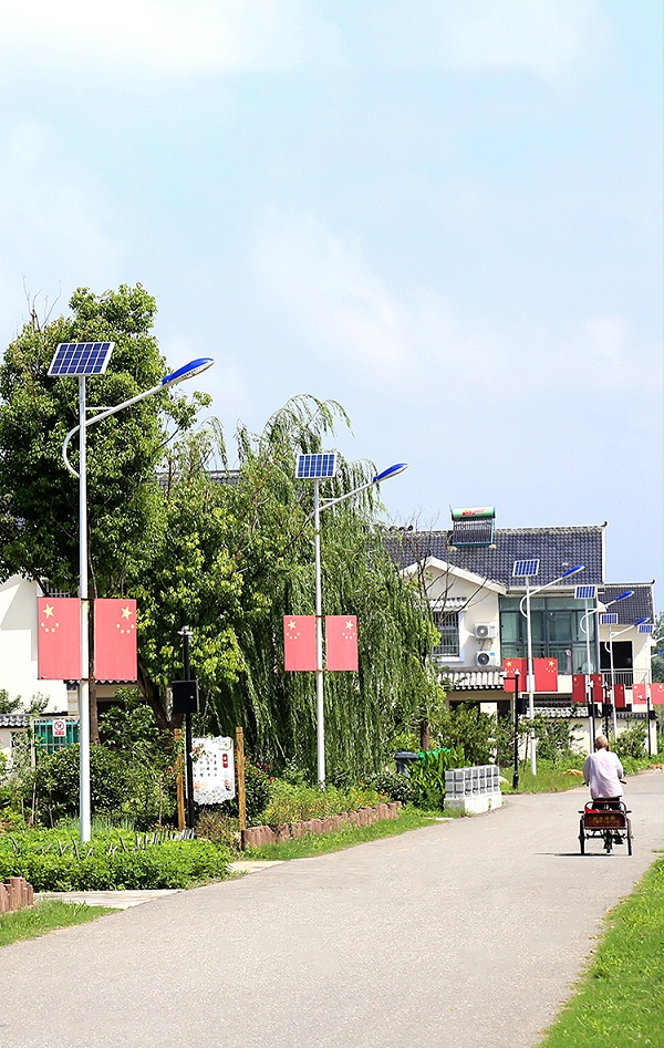 太阳能路灯_6m太阳能路灯_太阳能路灯价钱