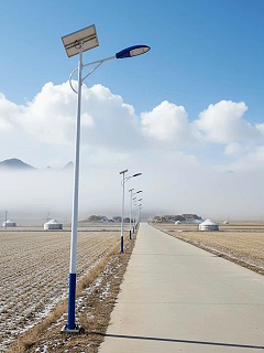 2026年景观路灯杆与单臂路灯杆厂家推荐——公园景区道路照明选型指南