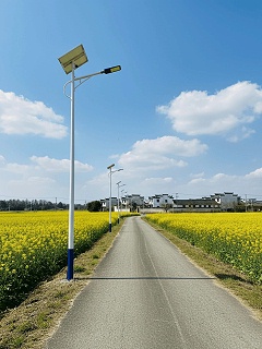 2026年中山太阳能路灯厂家工程案例18925343352