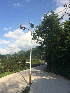 民生亮化，200盏南德路灯照亮红军故里出行路