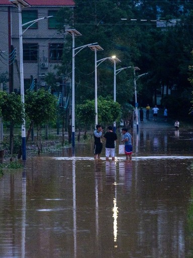 洪水不退，南德路灯屹立不倒