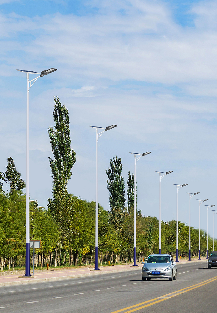 太阳能led路灯_工程太阳能路灯_太阳能路灯价钱