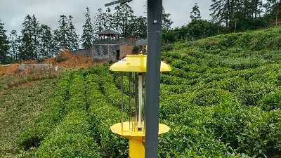 2026年中山路灯杆厂家推荐：太阳能路灯杆与路灯杆采购实战手册