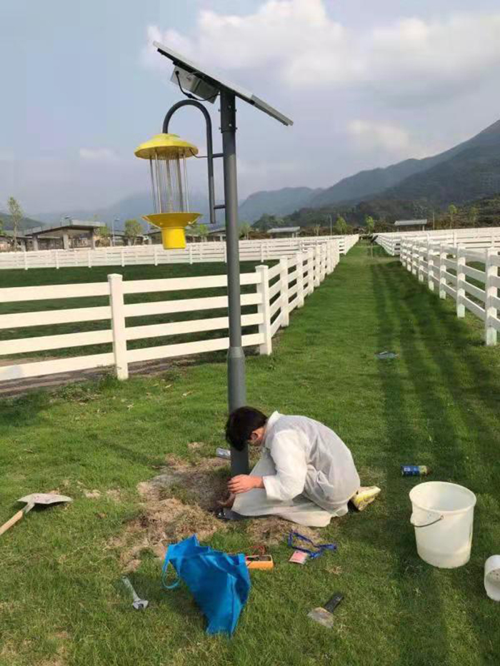 广东太阳能杀虫灯_广州太阳能杀虫灯_太阳能杀虫灯