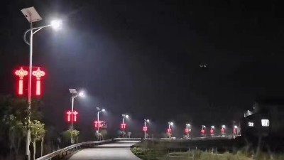 福建中国民族风太阳能路灯工程案列